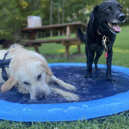 Dog Sprinkler Pool