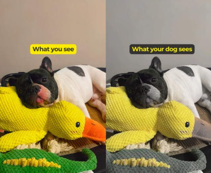 Calming Duck Toy