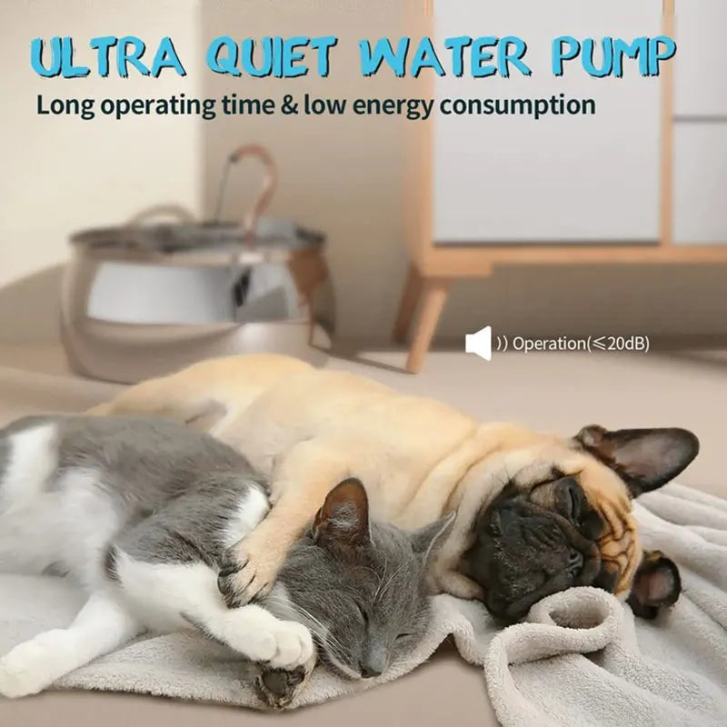Pet Water Fountain
