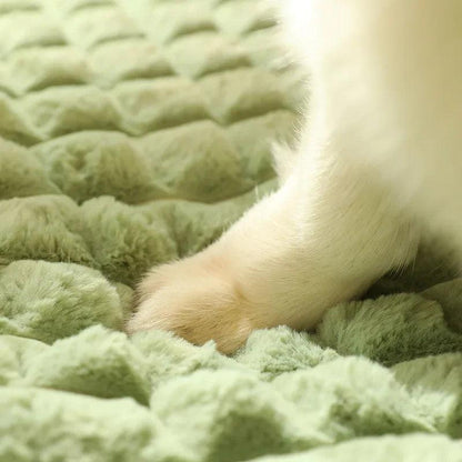 Cozy Orthopaedic Dog Mat