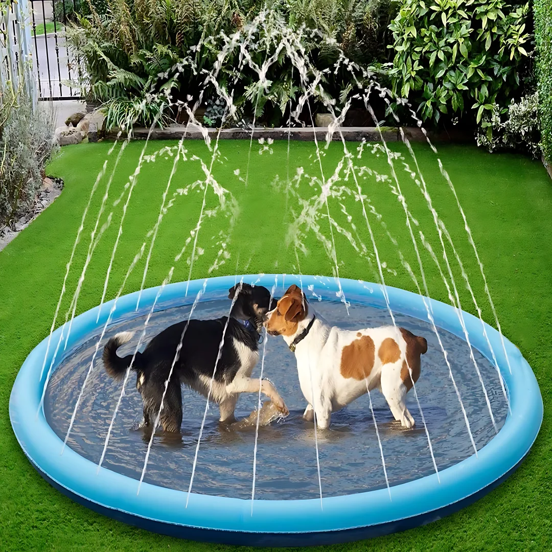 Dog Sprinkler Pool