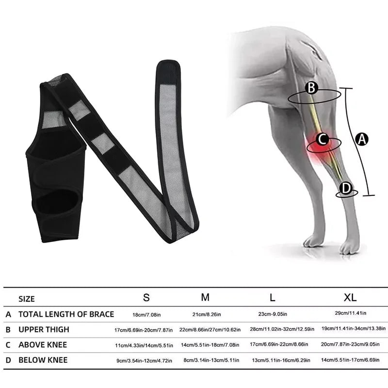 Dog Knee Brace