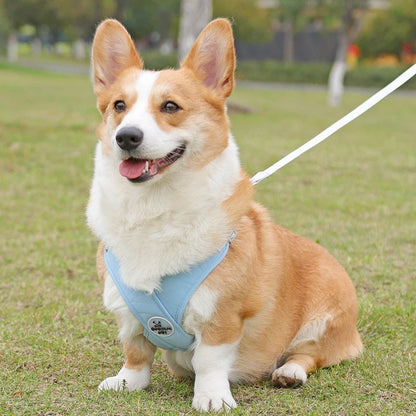 Cosy Dog Harness