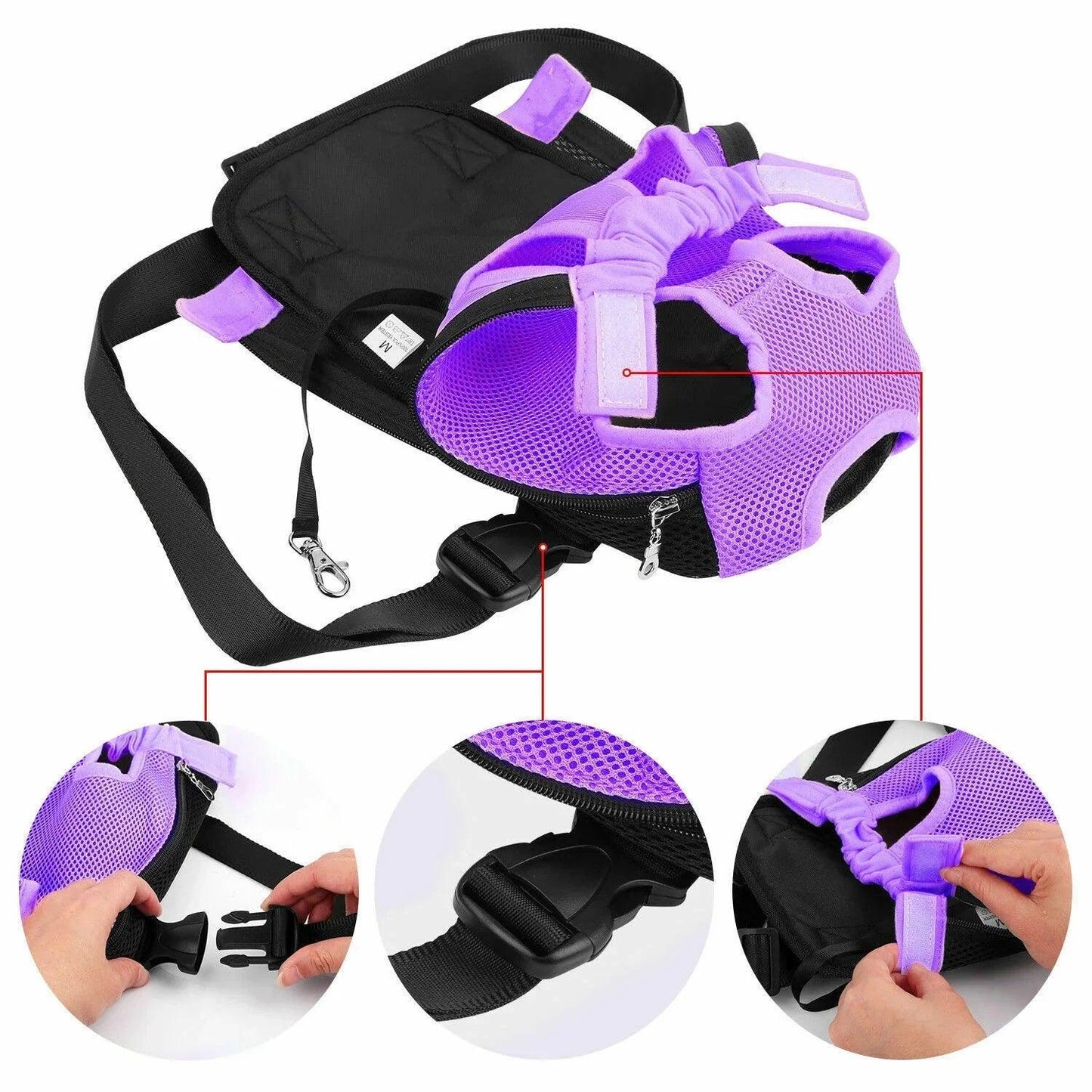 Travel Pet Carrier