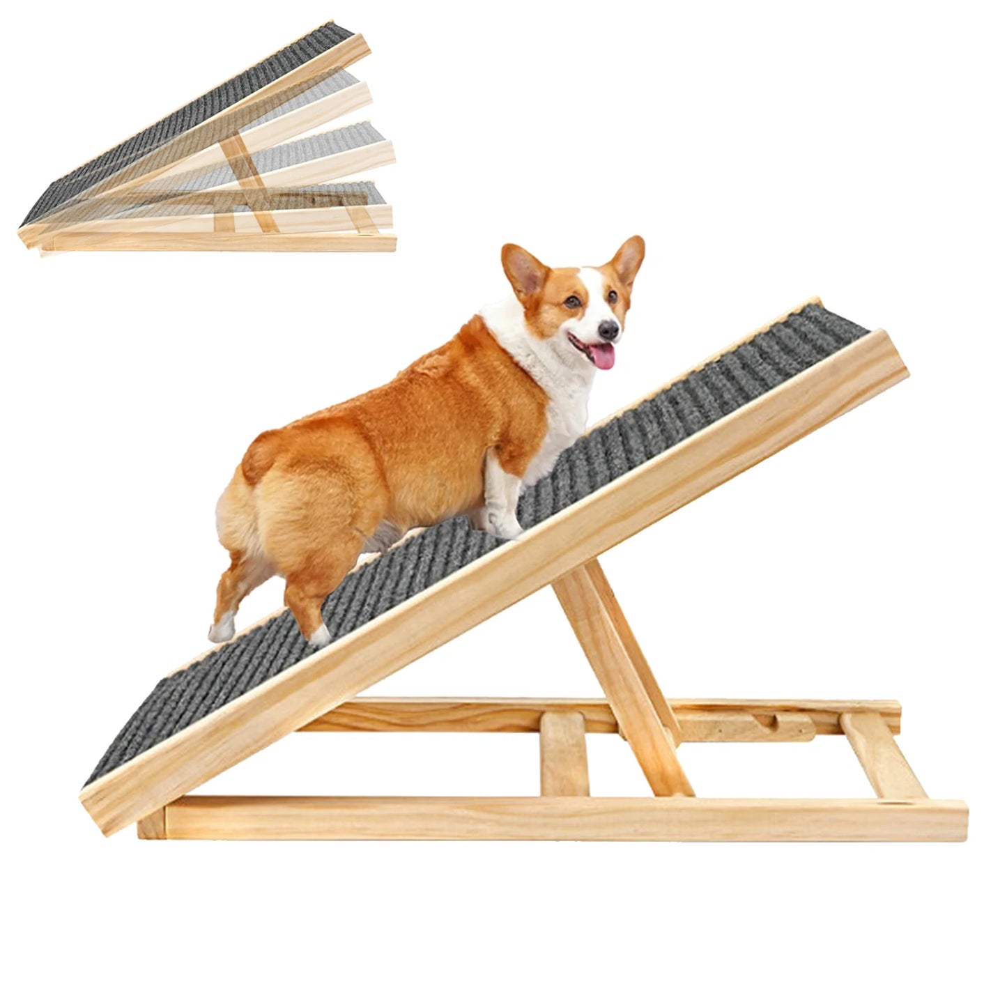 Dog Paw Ramp