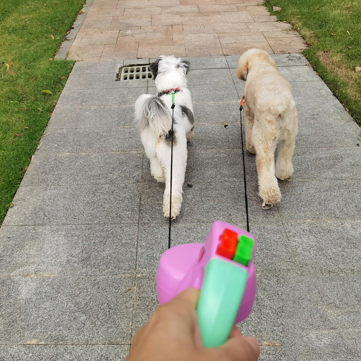 2 in 1 Retractable Dog Leash