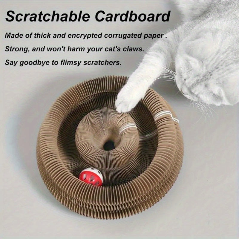 Cat Spiral Toy