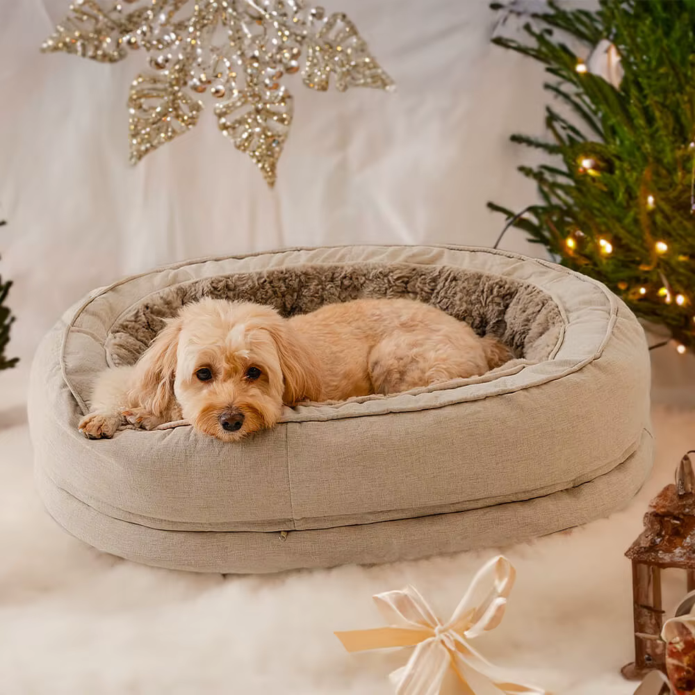 Calming Donut Bed