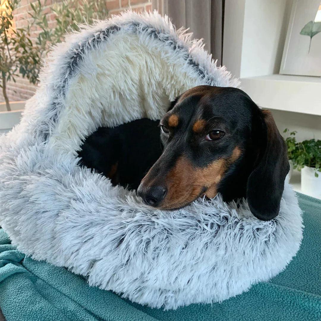 SnugglePaws® CosyCave Pet Bed